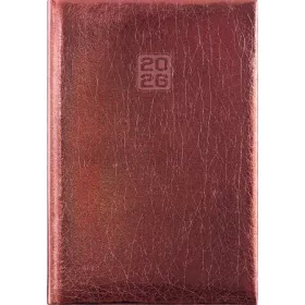   Naptár, tervező, A5, heti, DAYLINER, "Mirror", bronz