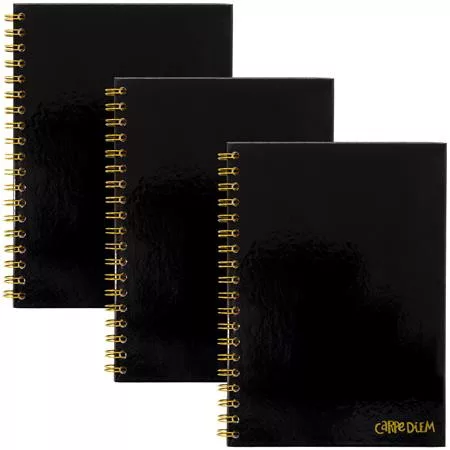 Spirálfüzet, B5, vonalas, 80 lap, FSC, PUKKA PAD "Carpe Diem", fekete