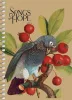 Spirálfüzet, A6, kockás, 80 lap, SHKOLYARYK "Spring Hope", vegyes