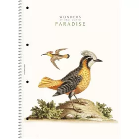   Spirálfüzet, A4, vonalas, 80 lap, SHOLYARYK "College Block Wonders", vegyes