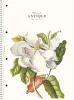 Spirálfüzet, A4, vonalas, 80 lap, SHOLYARYK "College Block Wonders", vegyes
