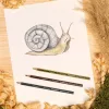 Színes ceruza készlet, hatszögletű, STAEDTLER "Noris Colour 185", 24 különböző szín