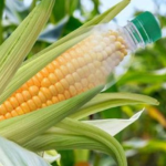 A bioműanyagé a jövő!